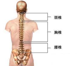 重视脊椎疼痛