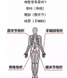 91免费看片检测分析仪教你如何看懂91免费看片检测报告单